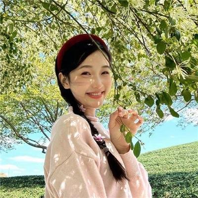天才：黑色石榴石封面